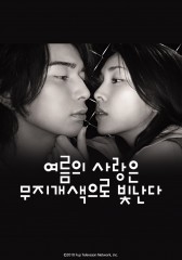 여름의 사랑은 무지개 색으로 빛난다