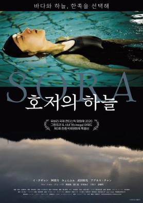 호저의 하늘