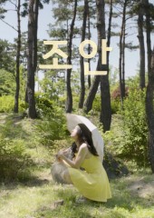 조안