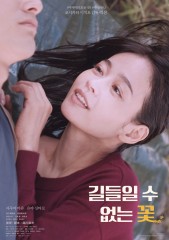 길들일 수 없는 꽃