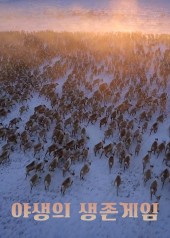 야생의 생존게임