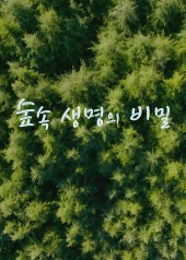 숲속 생명의 비밀
