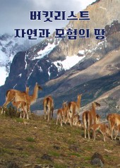 버킷리스트 : 자연과 모험의 땅