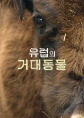 유럽의 거대동물