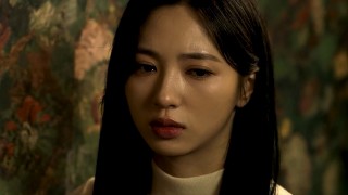코넬의 상자