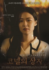 코넬의 상자