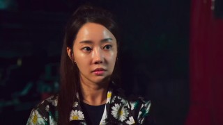 탈주의 동물기