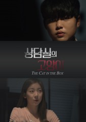 상담실의 고양이