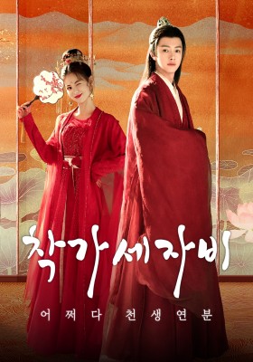 착가세자비 : 어쩌다 천생연분