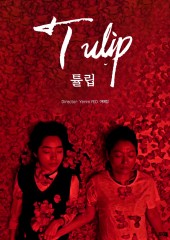 튤립
