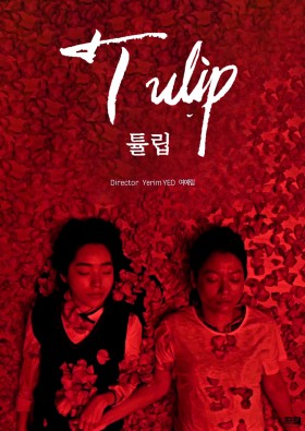 튤립