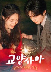 교양사아 : 눈부시게 빛나는 햇살