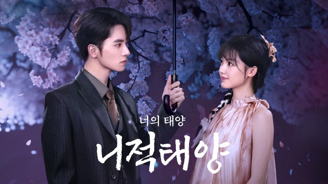 니적태양 : 너의 태양