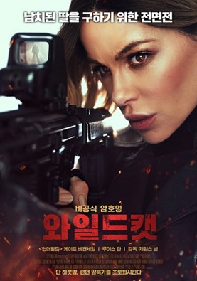 와일드캣