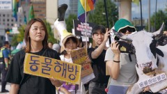 가능주의자